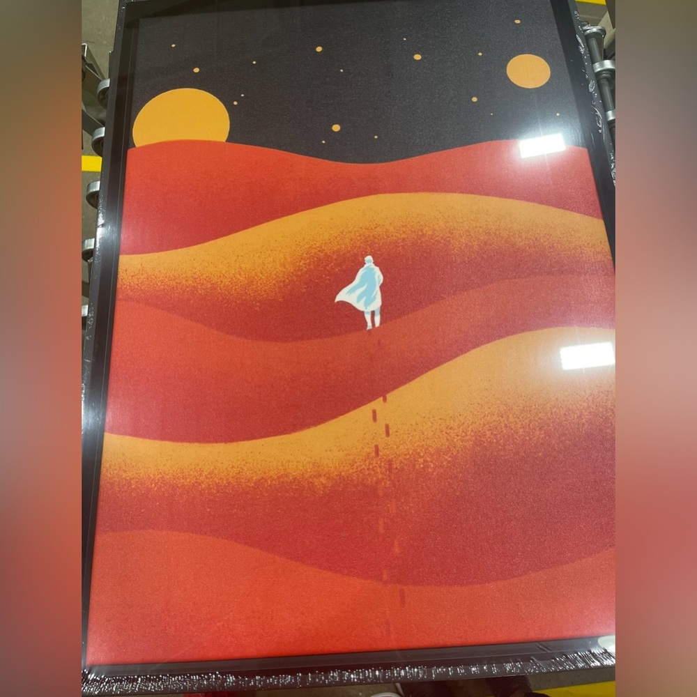 Dune framed canvas novel book movie film